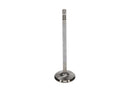 Manley Ford 4.6L 117.35mm Length Race Master Exhaust Valves - Set of 8