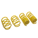 ST Suspensions Lowering Springs – Ford Mustang V8