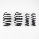 RS-R Down Sus Lowering Springs – 2015-2023 Ford Mustang GT