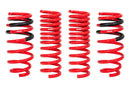 Eibach Pro-Kit Lowering Springs - 15+ Dodge Challenger SRT-8 Hellcat