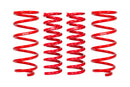 Eibach Pro-Lift Springs – 2023-2024 Toyota 4Runner