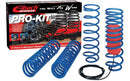 Eibach Drag-Launch Spring Kit – 1979-2004 Ford Mustang