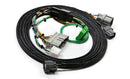 K-Tuned K-Swap Conversion Harness - Honda Civic 96-98