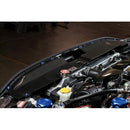APR Performance Carbon Fiber Radiator Cooling Plate - 2015+ Subaru WRX/STI (VA)